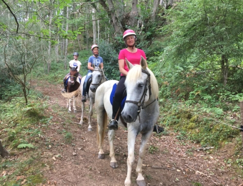 Horseback Riding