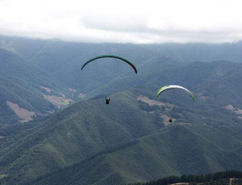 Paragliding